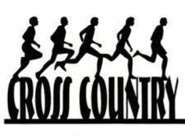 shadow runners