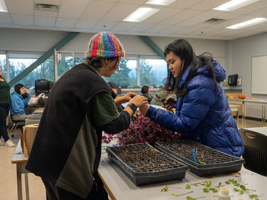 Two female students inspecting a plant within the classroom